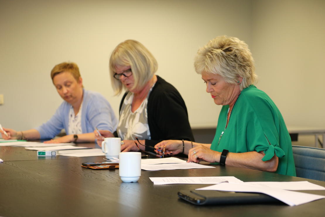 Landdstyrerepresentanter fra henholdsvis FO Nordland, Vestfold og Sogn og Fjordane: Gunhild Holthe, Torild Kristoffersen og Trude Farda