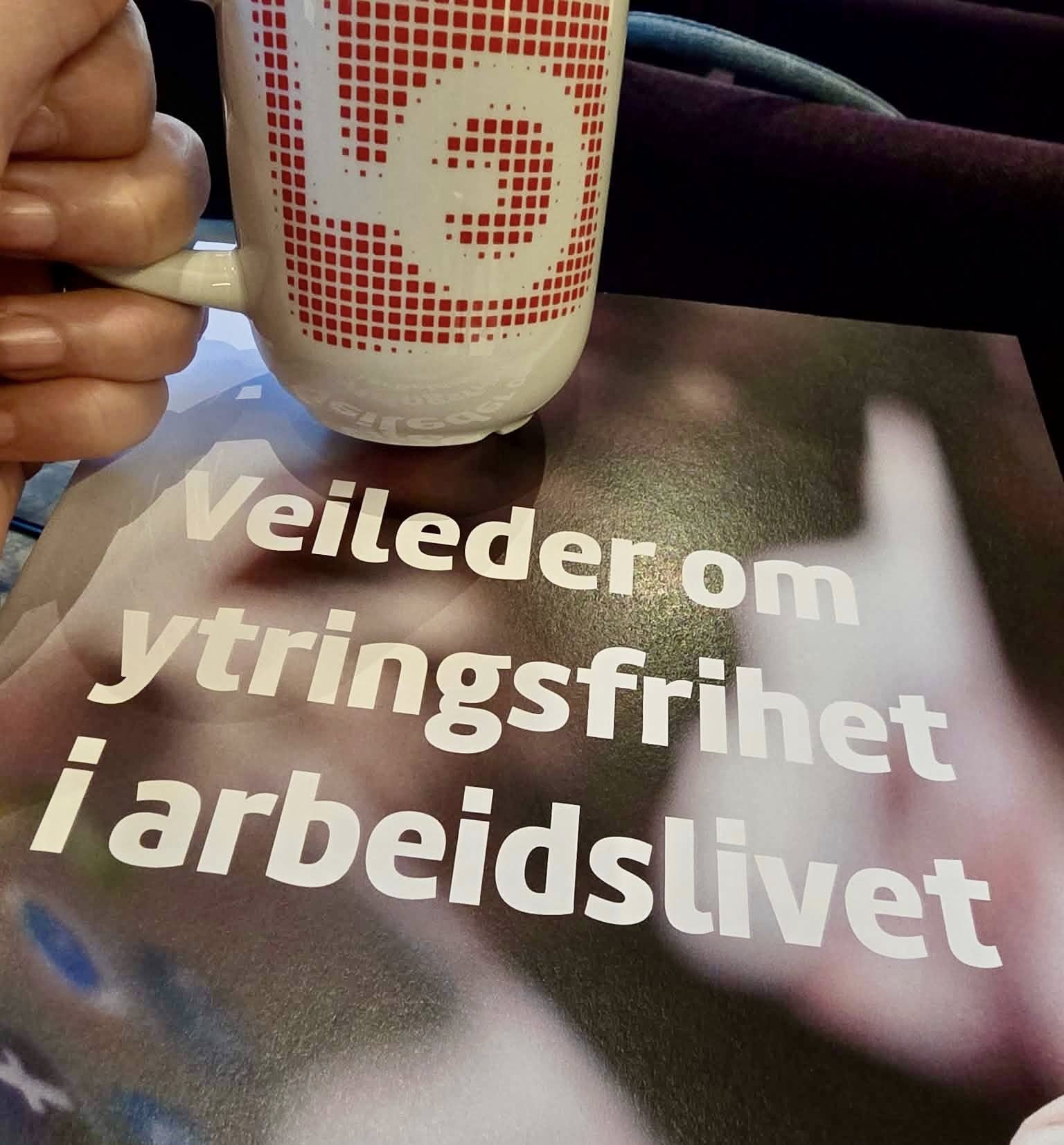 Veileder om ytringsfrihet i arbeidslivet